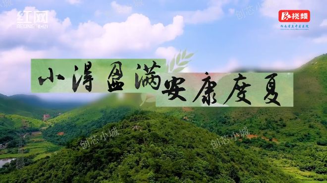 二十四节气之小满·健脾祛湿 清心养阳