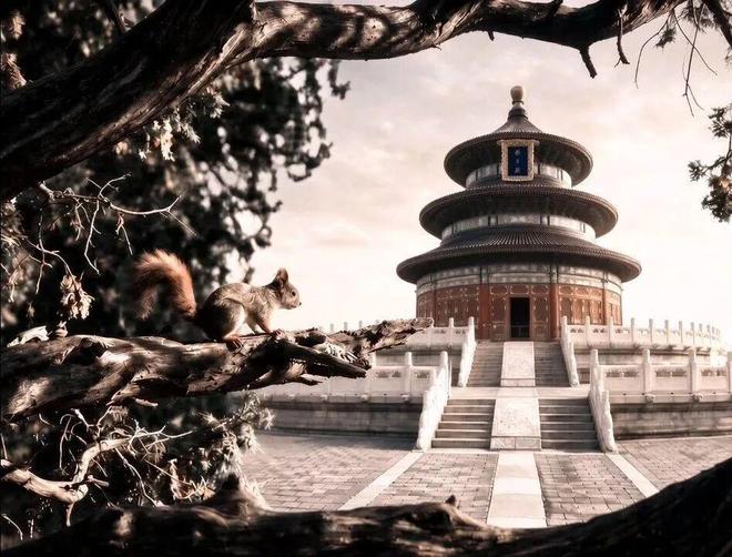 平均年龄近70岁！天坛脚下，诞生了全球首个退休人员AIGC大赛！|老舍|陶经|老北京|aigc大赛